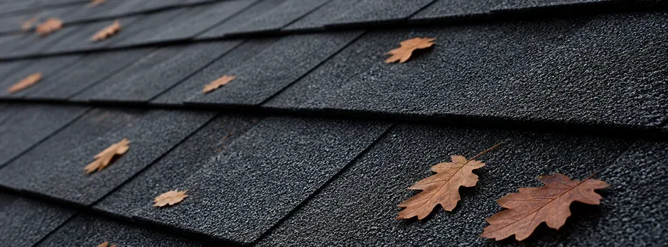 Close-up of charcoal architectural shingles with fallen oak leaves.