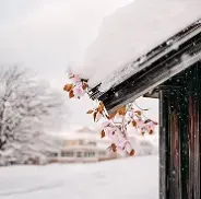 Snow-covered roof edge with pink flowers during snowfall.