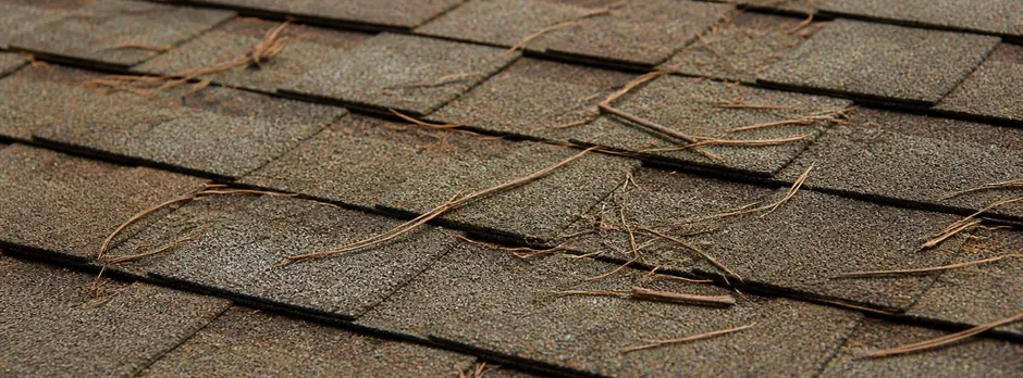 Close-up of weathered-wood architectural shingles with fallen pine needles.