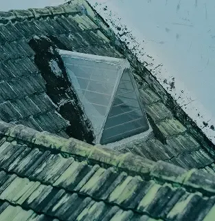 Mossy roof tiles before replacement.
